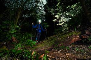 BIB: 
                            <button type="button" onclick="openModal(15974229)" class="btn btn-primary btn-sm float-right btn-popup" data-toggle="modal" data-target=".modal-high-quality">
                        <i class="fas fa-shopping-cart"></i> Add to Cart
                    </button>
                                            <button type="button" onclick="isThisMe(15974229, true)" class="btn btn-success btn-sm float-right btn-popup btn-isme hidden" data-toggle="tooltip" data-placement="bottom" title="นี่คือรูปของคุณใช่ไหม คลิกที่นี่เพื่อเอาเข้าอัลบั้ม">
                        <i class="fas fa-plus"></i> Add to album
                    </button>
                    <button type="button" onclick="isThisMe(15974229, false)" class="btn btn-warning btn-sm float-right btn-popup btn-isnotme hidden">
                        <i class="fas fa-ban"></i> Remove from album
                    </button>